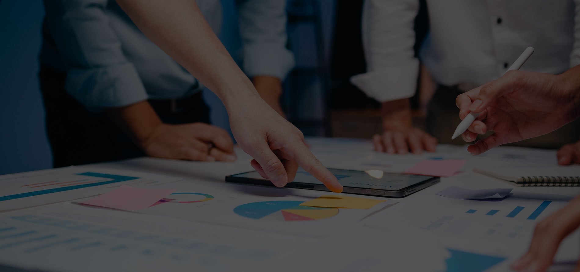 Marketing Analytics Solutions | Y Point